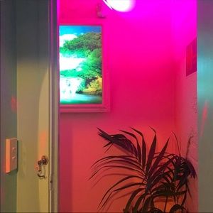 Meet your Posher, Blair